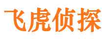 点军侦探公司